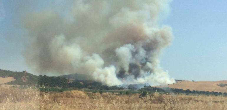 Incendio forestal N-502