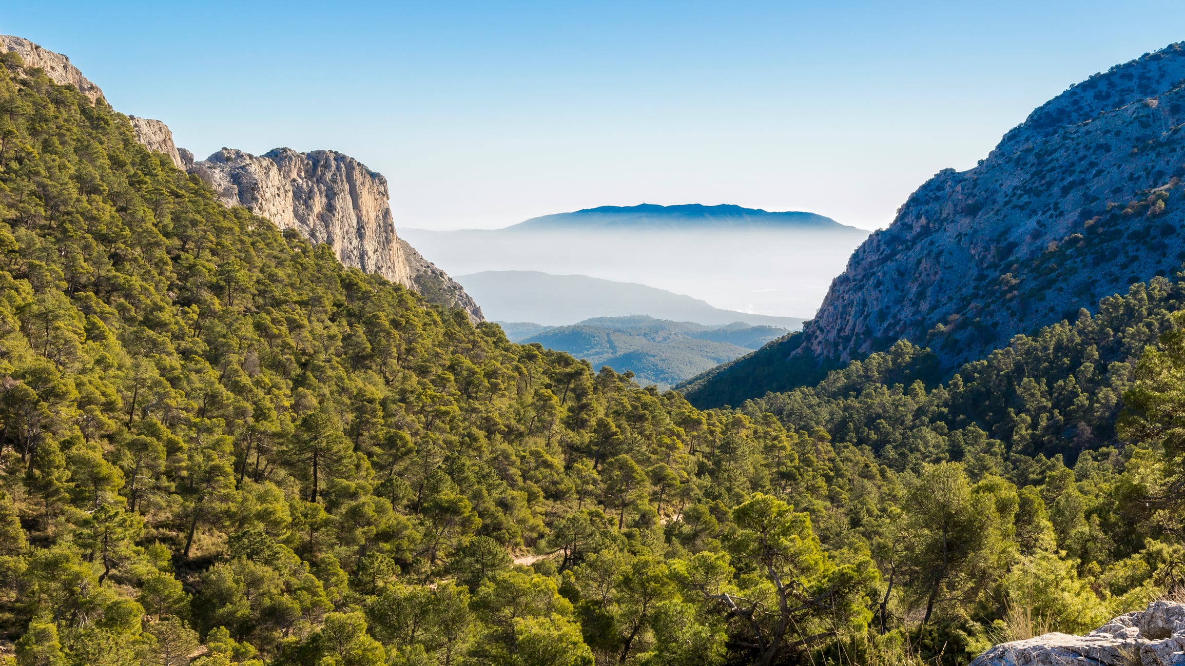 Sierra Espuña, en Murcia.