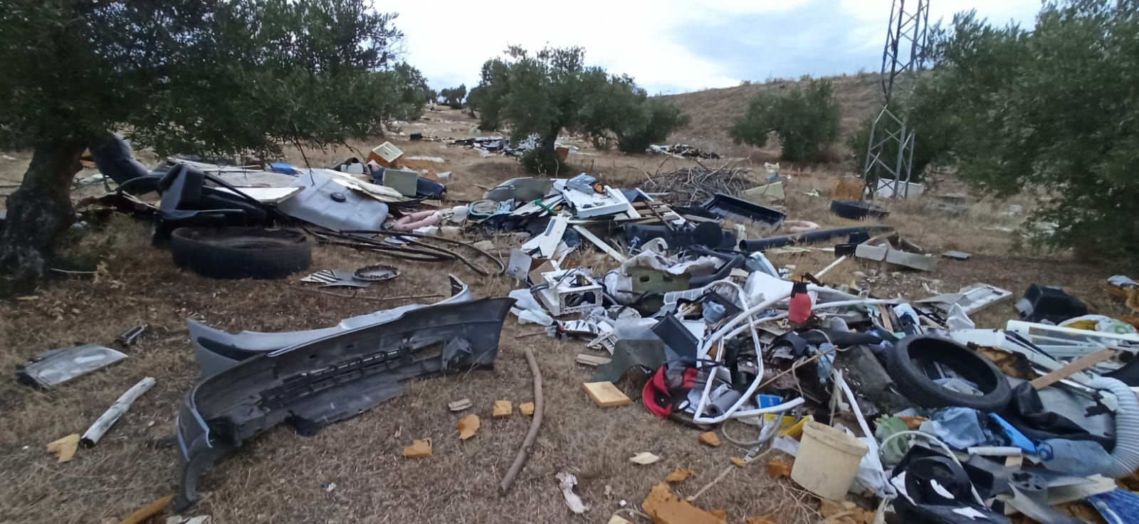 Partes de vehículos vertidos en un olivar de Jaén.