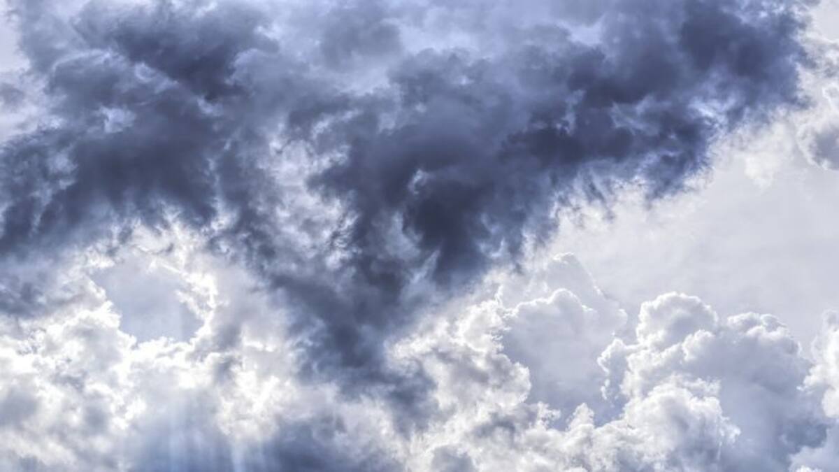 Las cosas de Barja (14/11/2019)