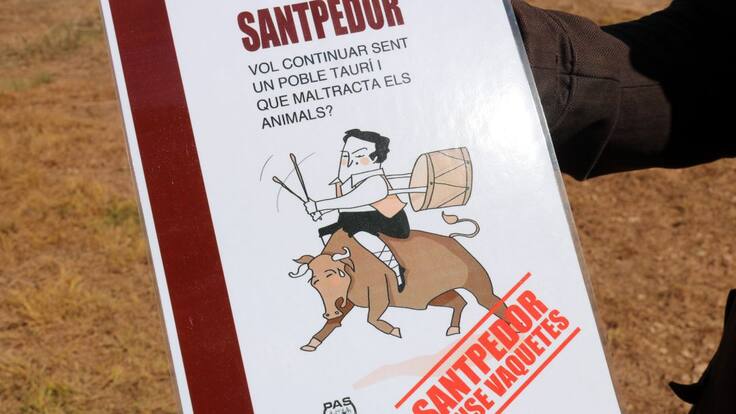 Santpedor votarà sobre el futur de les vaquetes