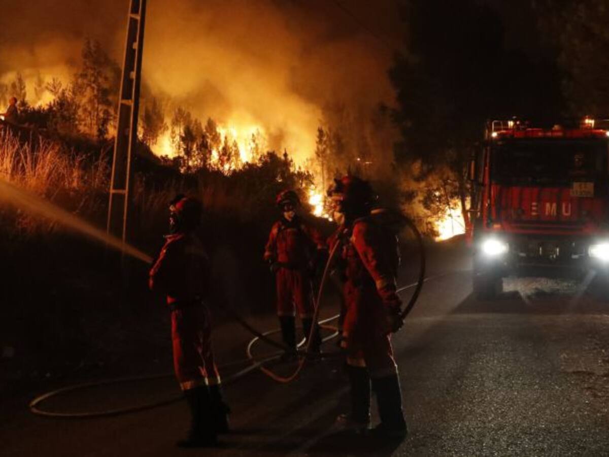 ¿Por qué los incendios arden con más intensidad?