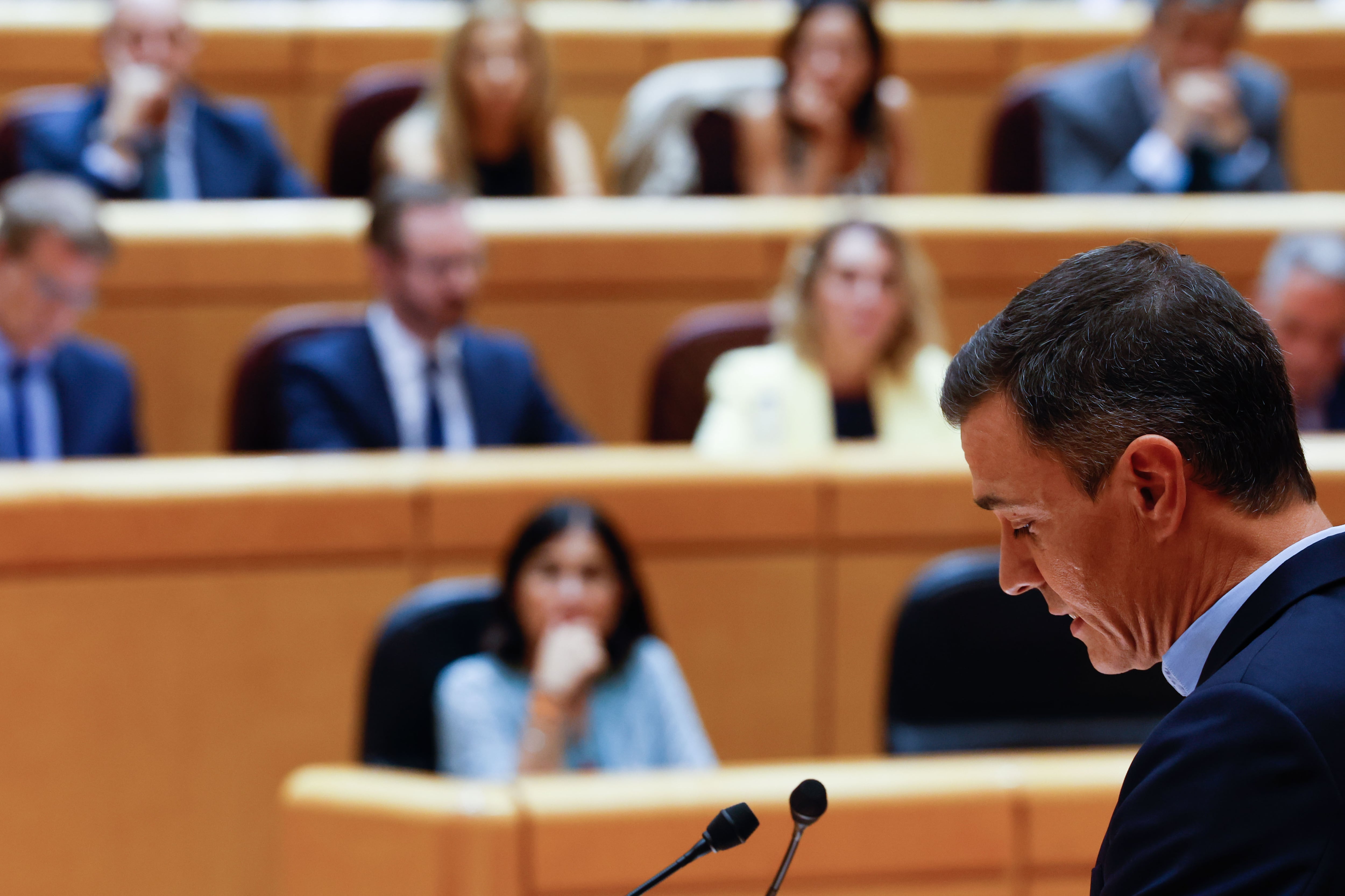 El presidente del Gobierno, Pedro Sánchez, interviene en el pleno del Senado