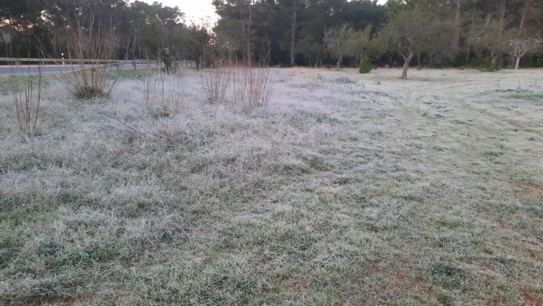 Heladas en Santa Getrdudis