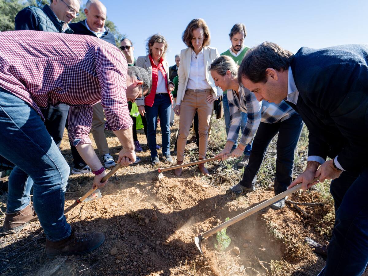 Arranca el proyecto de recuperación forestal ‘El Robledal y La Sauceda’ en Cortes de la Frontera