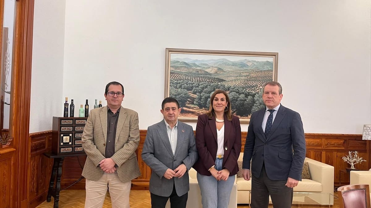 La Diputación de Jaén ejecutó más de 26 millones de euros en obra pública en 2025