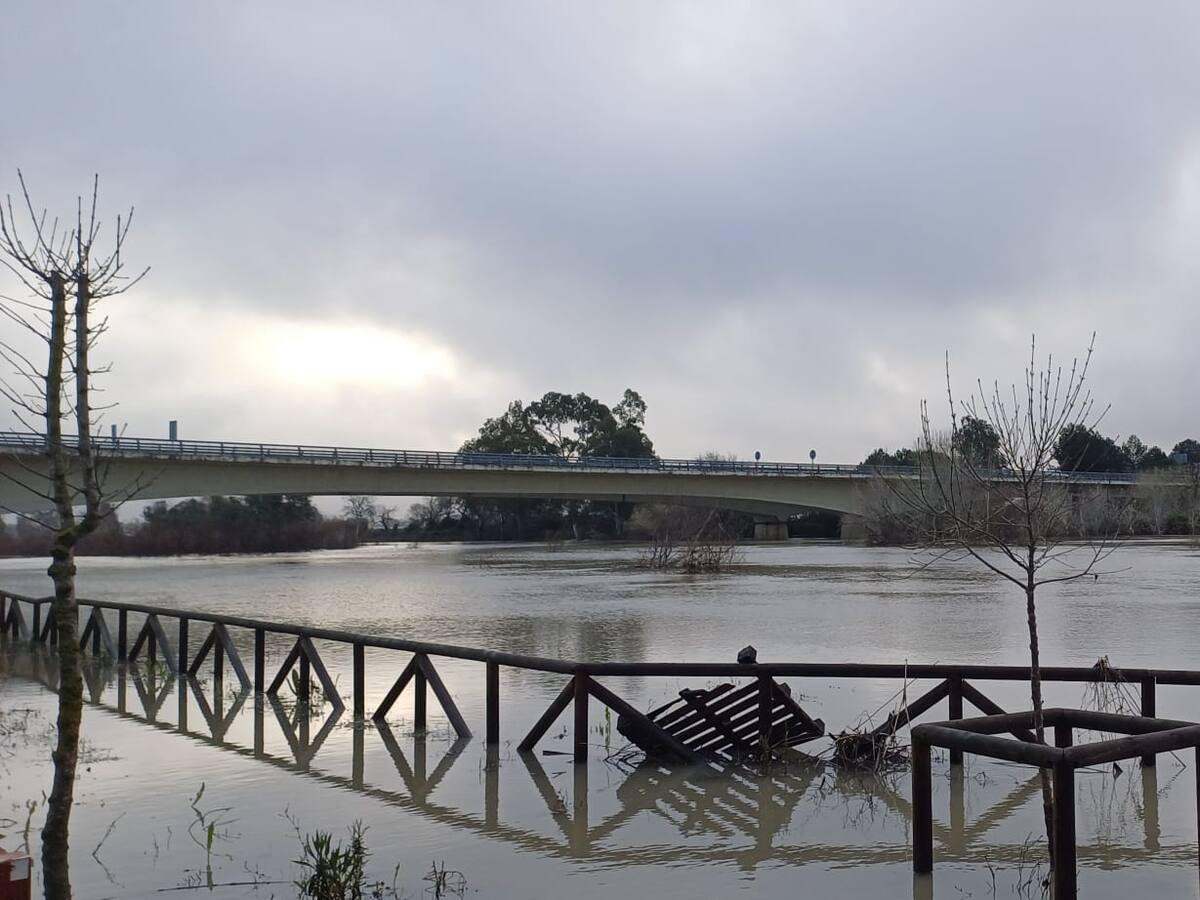 Jerez decreta la fase de recuperación en el Plan Territorial de Emergencias Local tras el descenso del nivel del río