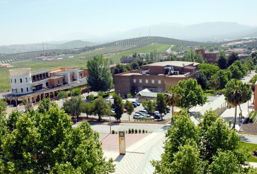 Universidad de Jaén.