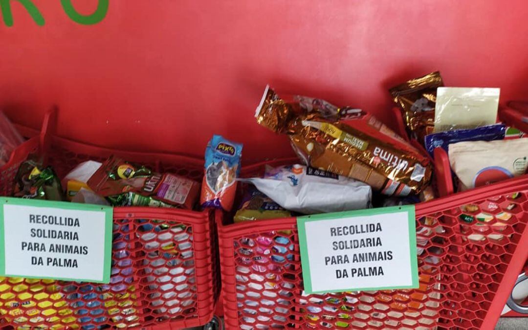 Comida recogida en el Mercado de O Progreso