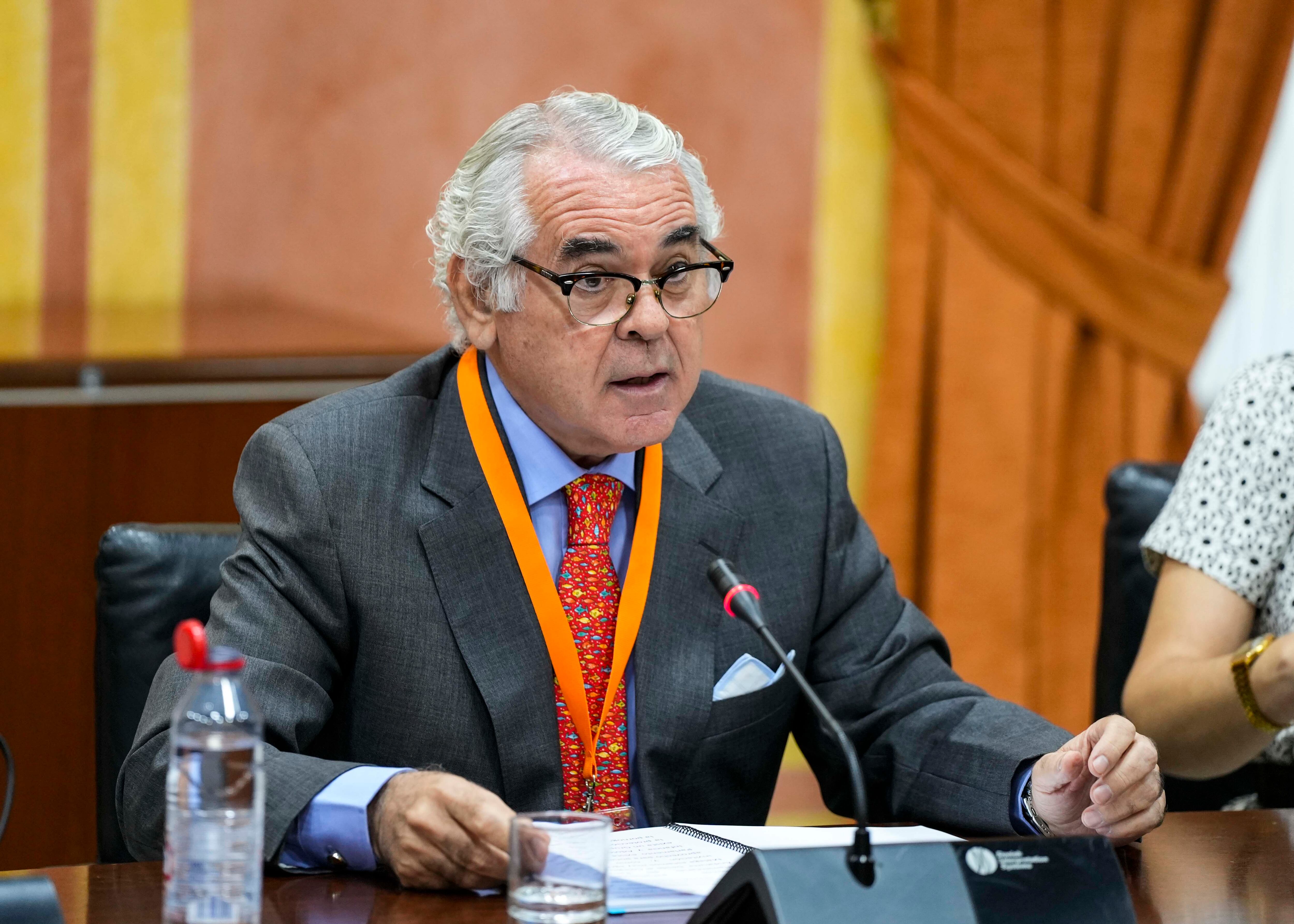 Momento de la comparecencia de Pedro Navarro