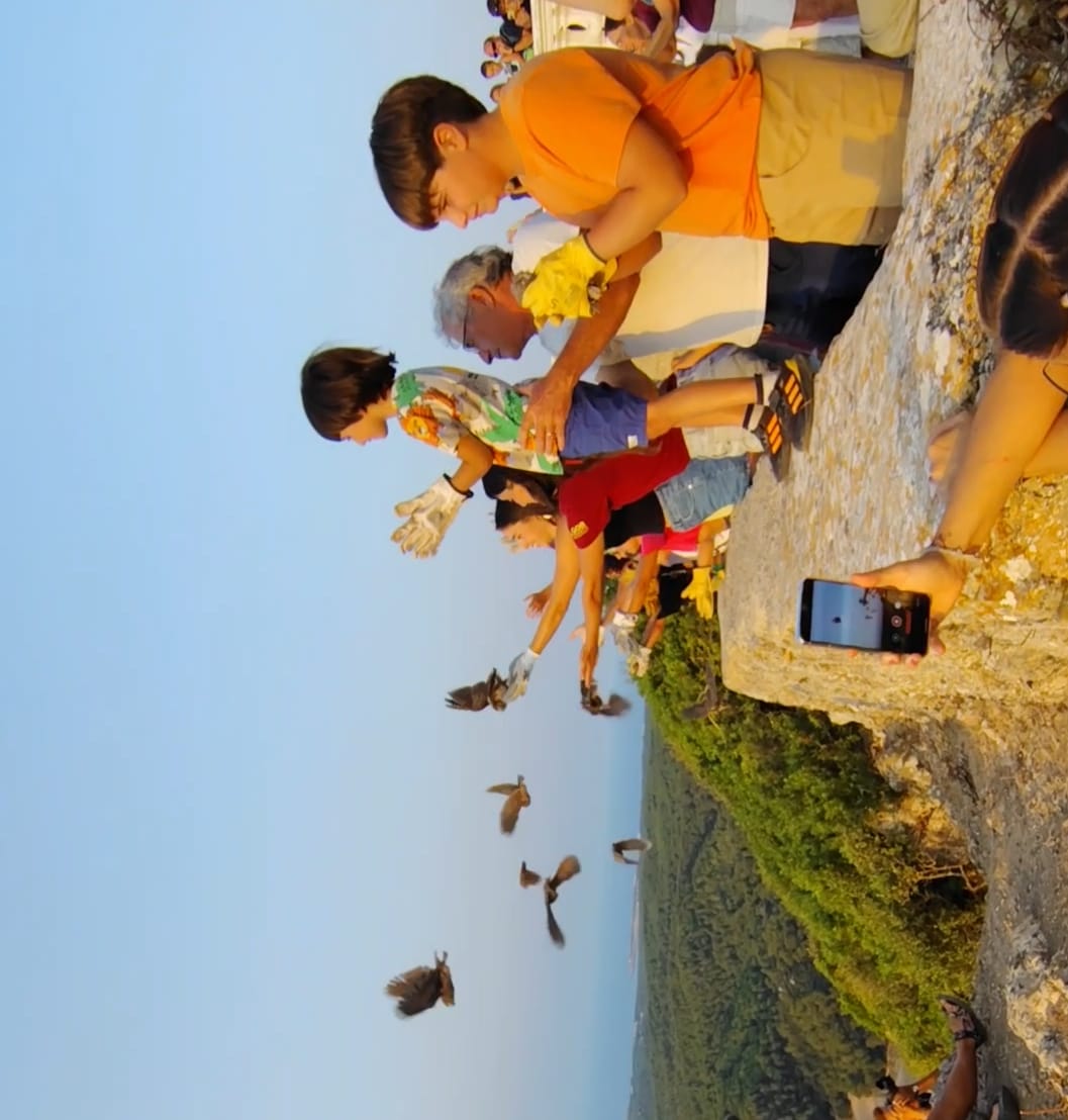 La majoria d'animals tractats es recuperen i es deixen en llibertat com aquests mussols que s'alliberen anualment a El Toro.