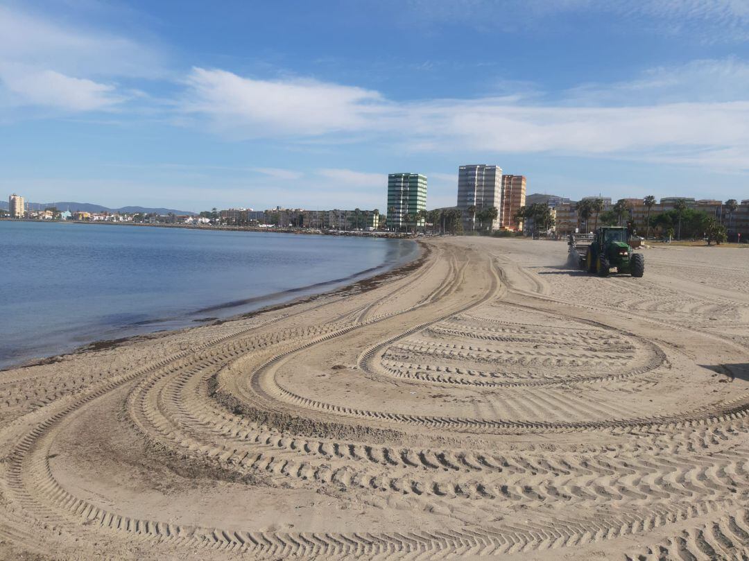 Limpieza en la playa de Poniente.
