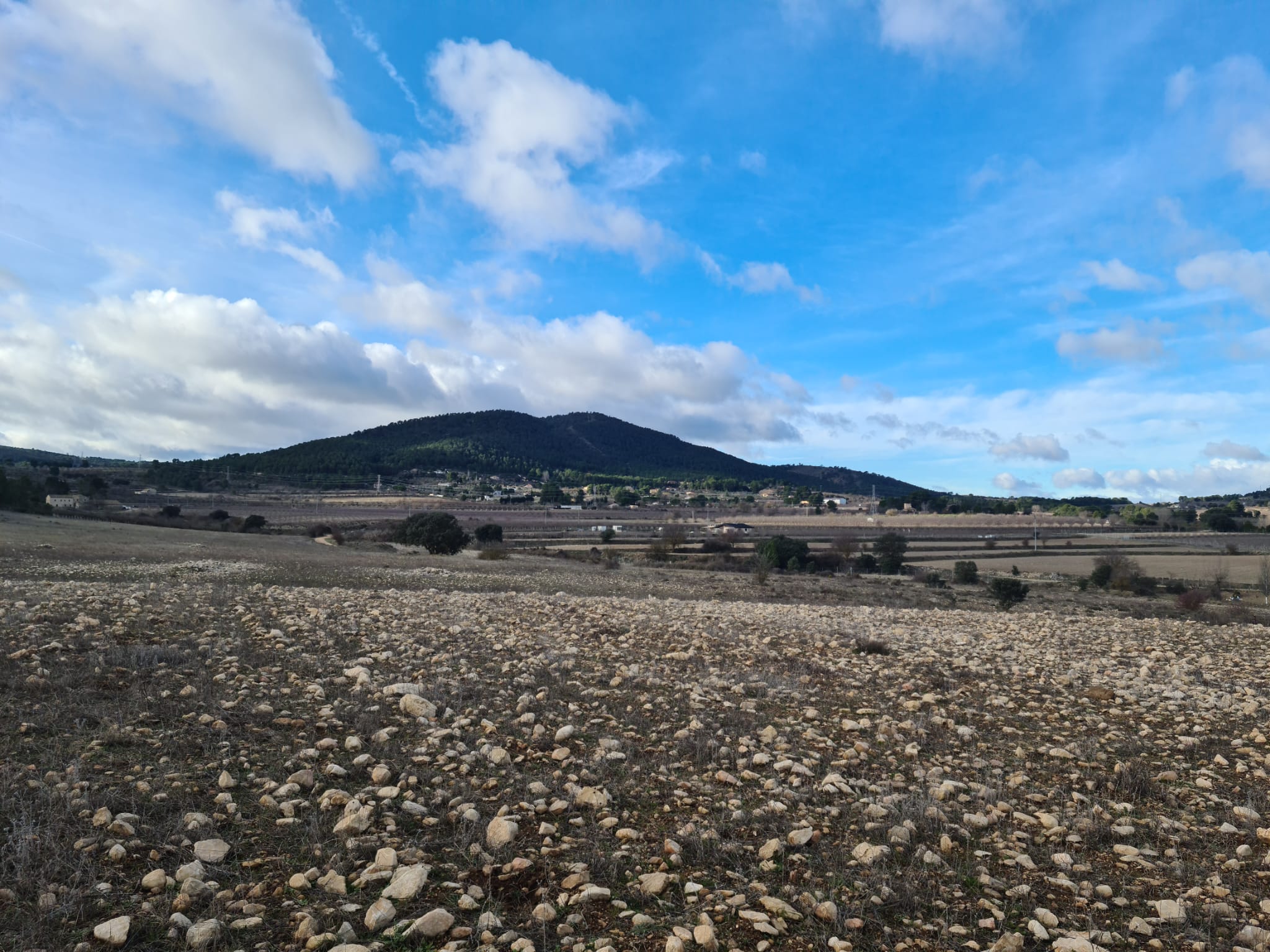 Terrenos en los que se proyecta la planta agrovoltaica en La Canal
