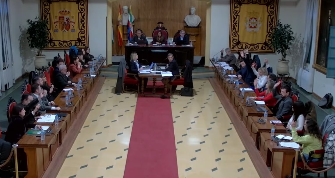 Imagen del pleno celebrado en la Estación de Madrid.