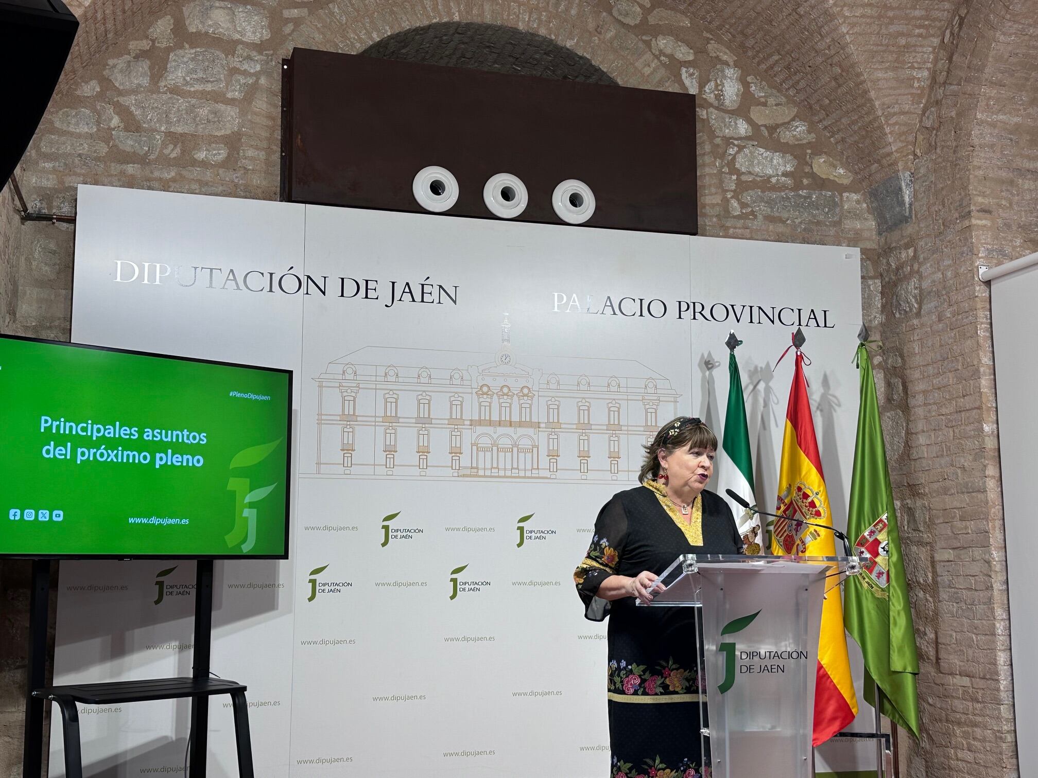 Presentación de asuntos del próximo Pleno de la Diputación de Jaén.