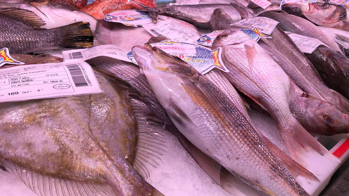 Los precios no acompañan a la flota de arrastre de Cartagena que ha vuelto a faenar con unas capturas "alucinantes"