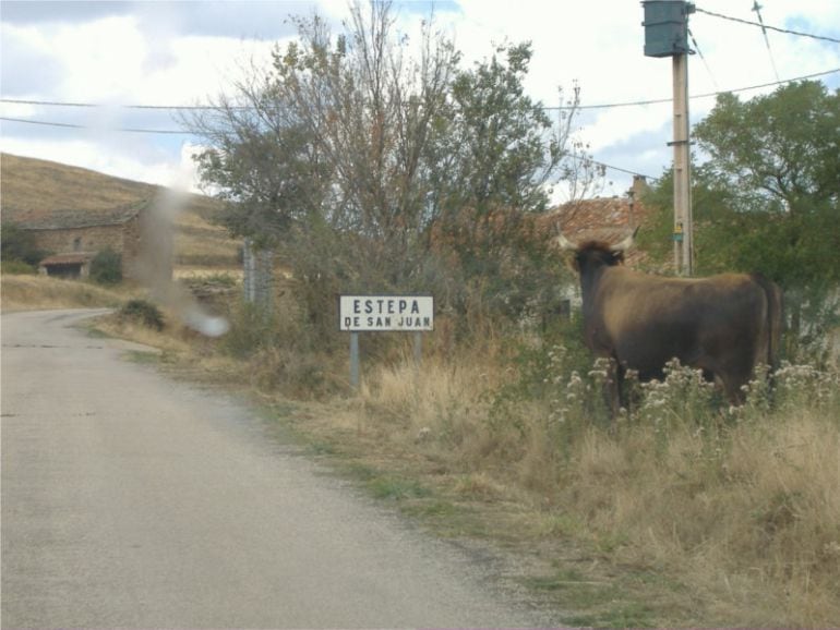 Estepa de San Juan