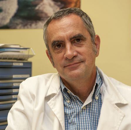 Dr. Alfredo Rodríguez-Antigüedad, neurólogo de IMQ