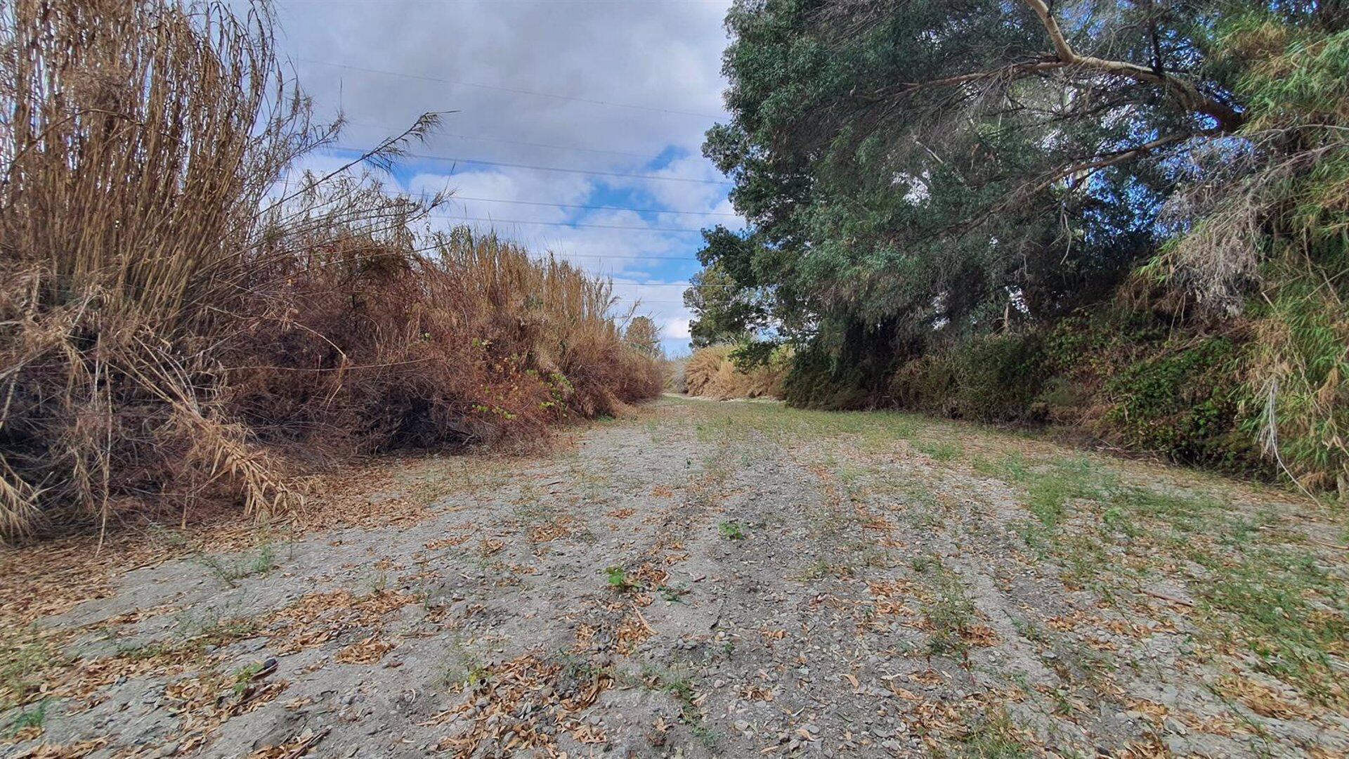 Cuenca seca en el río Guadiaro