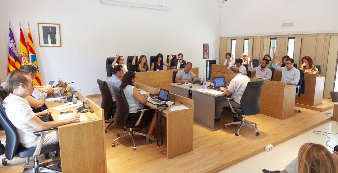 Un momento durante el pleno