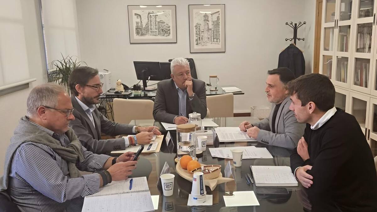 Entrevista a Óscar Borrell, licitación obras CEIP Vicent Gironés