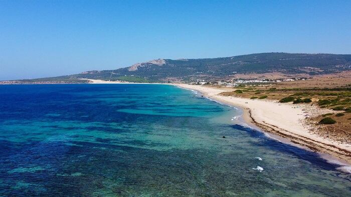 Playa de Bolonia repleta de alga invasora