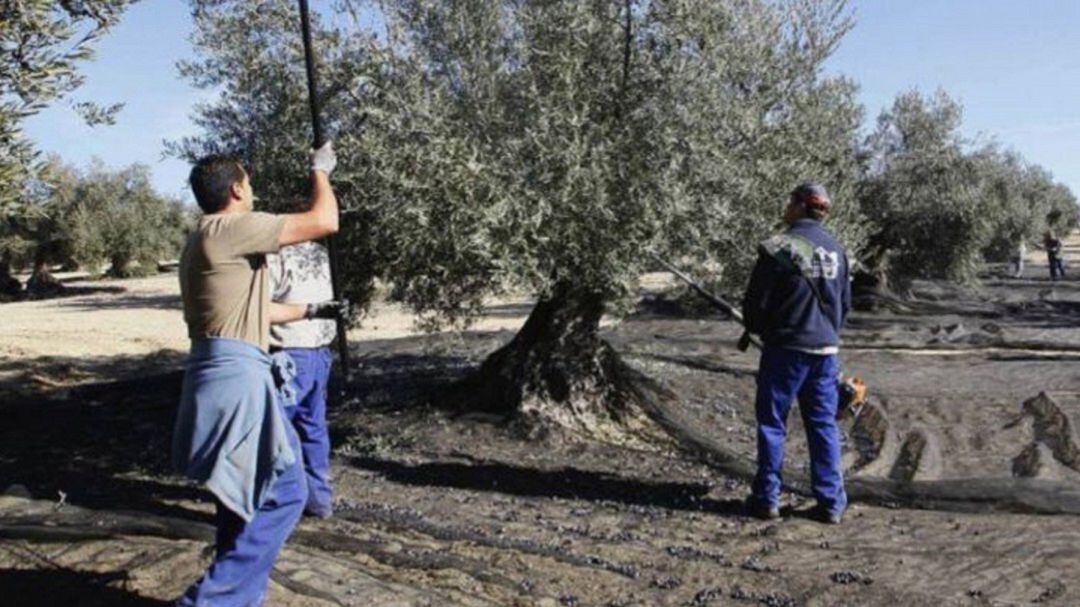 El campo tira del carro