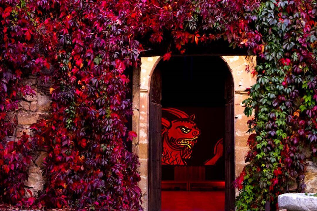 Actividad cultural visitas ROM