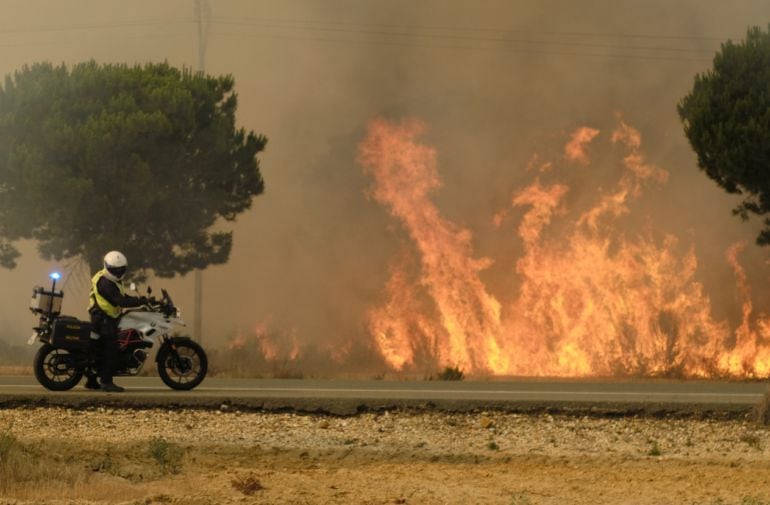 Llamas en los alrededores del término municipal de Moguer, un incendio forestal que ha obligado a desalojar a más de 2.000 personas y que continúa acechando el Parque Nacional de Doñana. 