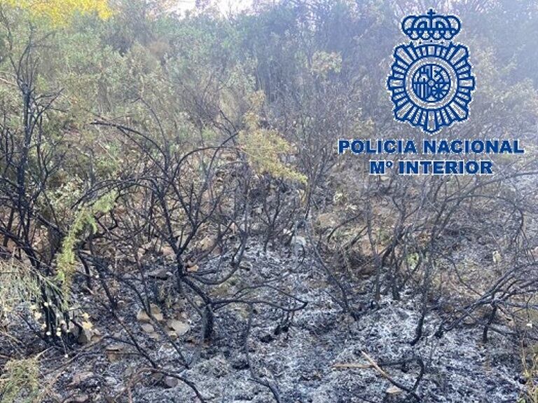 El incendio forestal provocado por el arrestado