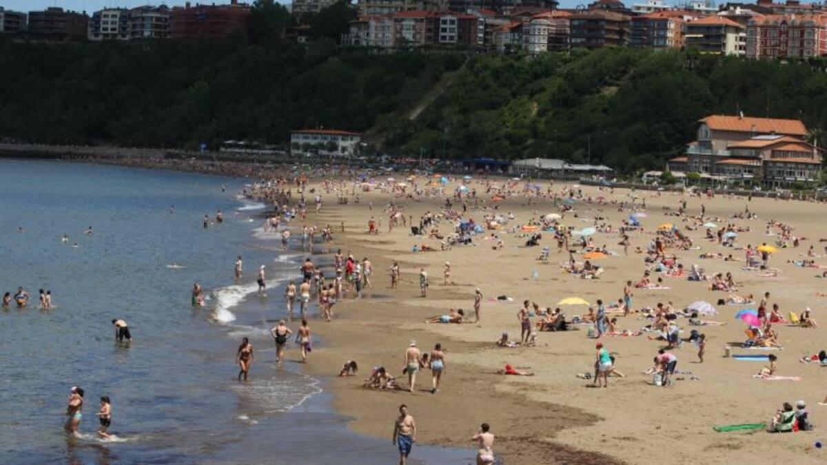 Arantza Atutxa, diputada foral de Medio Natural y Agricultura,