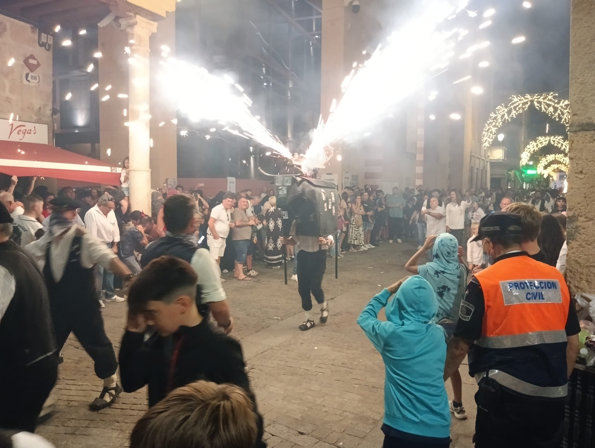 Toros de Fuego 2025 Peña Tierra Aranda