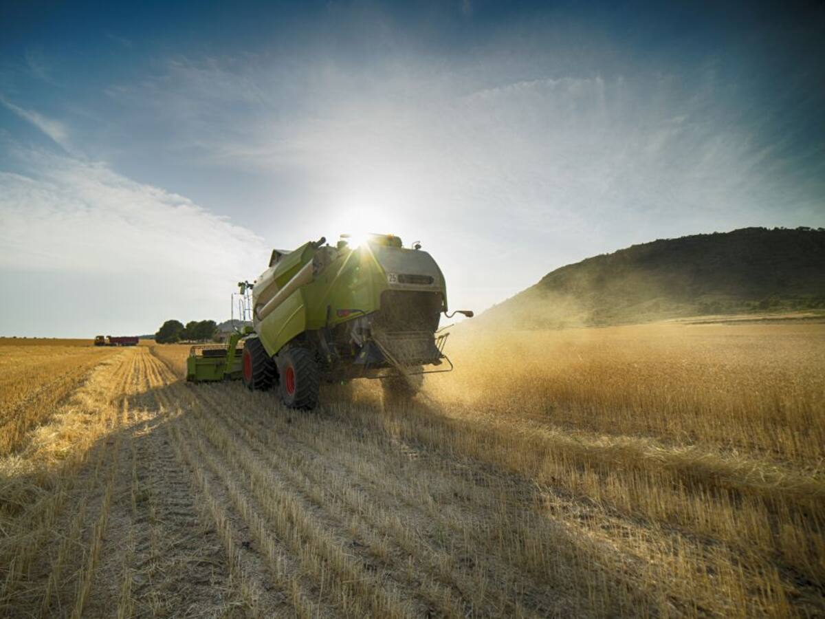 La Diputación abre plazo de las ayudas para mejorar los recursos agropecuarios comunes en la provincia