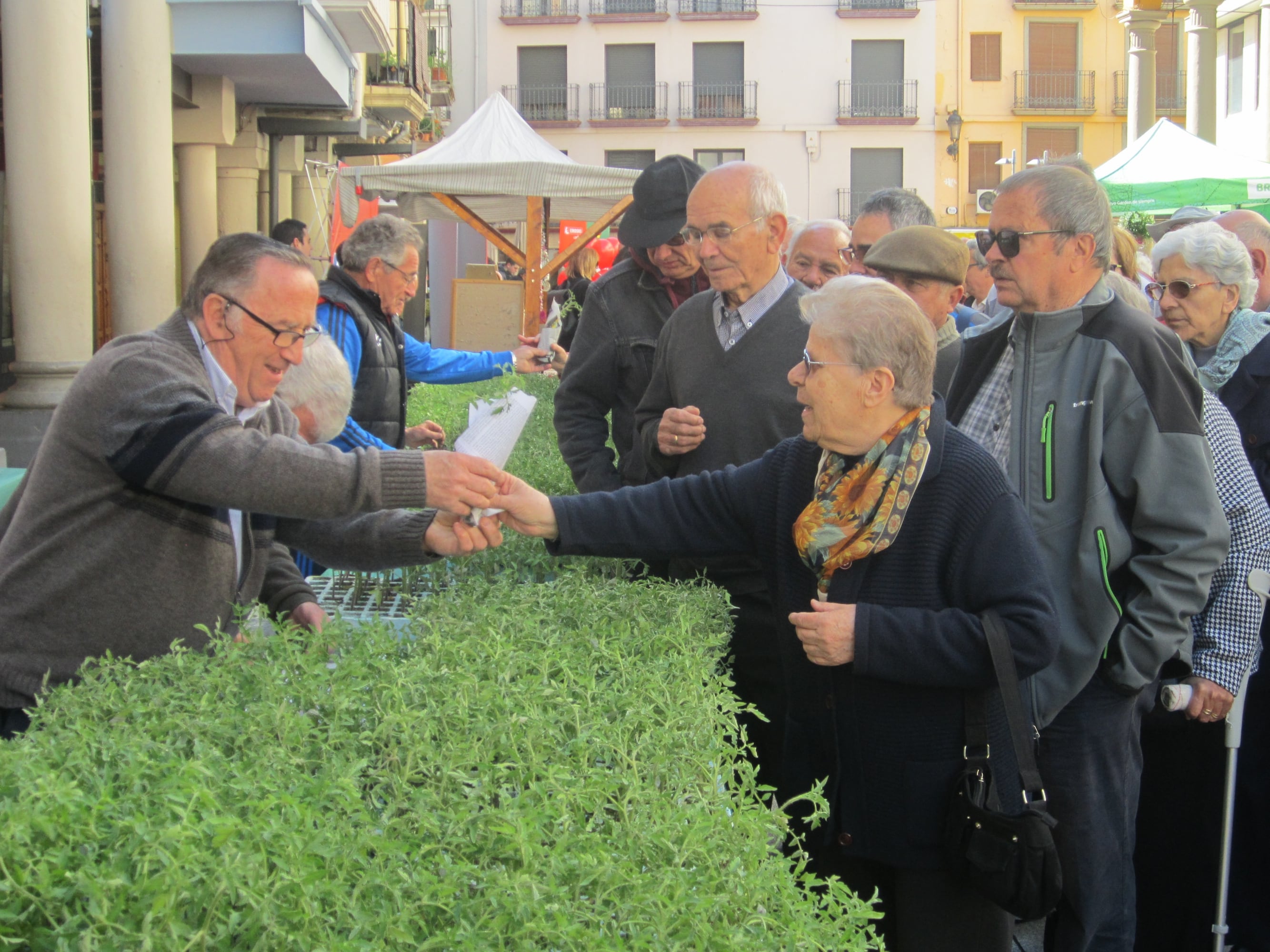 La Fiesta del Plantero se celebra este domingo en la Plaza del Mercado de Barbastro