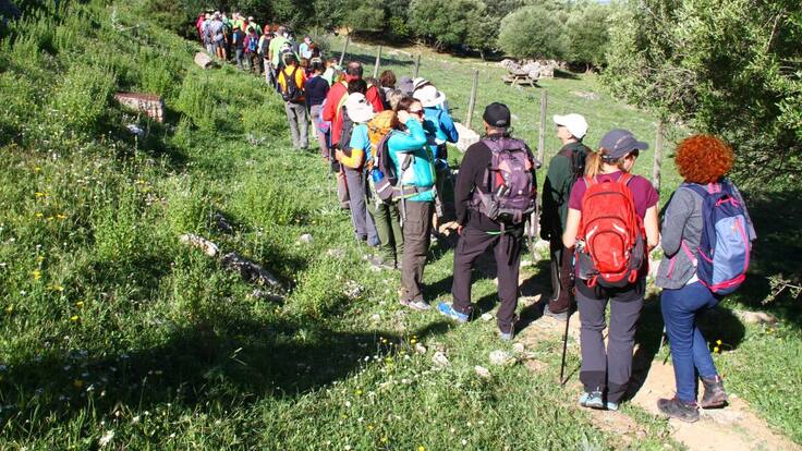 Elecciones Federación de montañismo