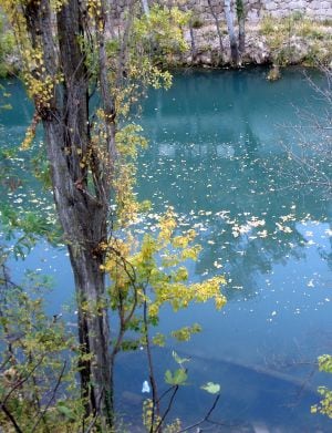 Aguas verdes del Júcar.