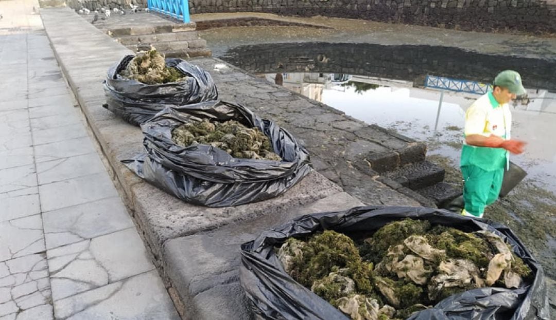 Parte de los residuos encontrados en el Charco de San Ginés.