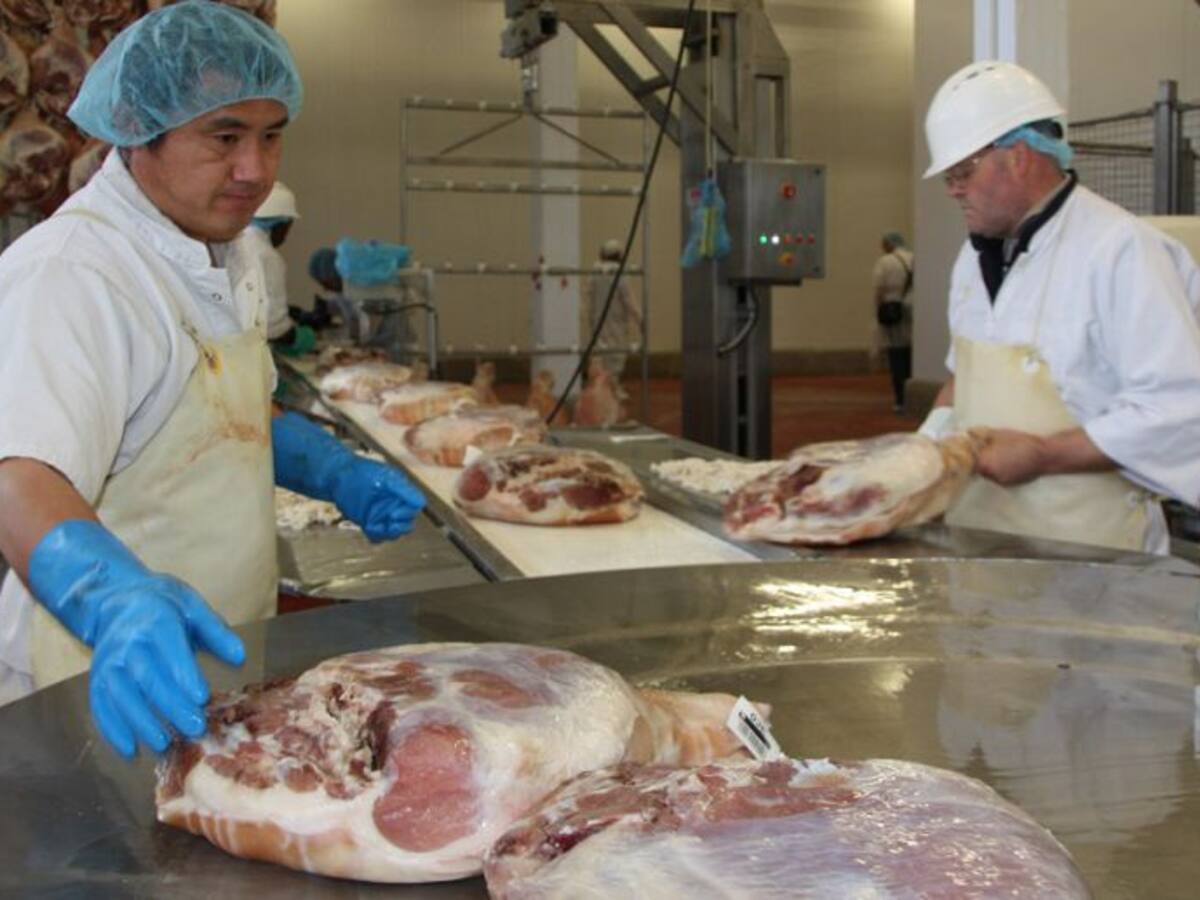 Xifres inaudites d'exportacions