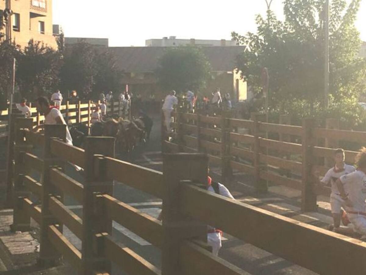 Un encierro limpio para cerrar las fiestas de Tudela