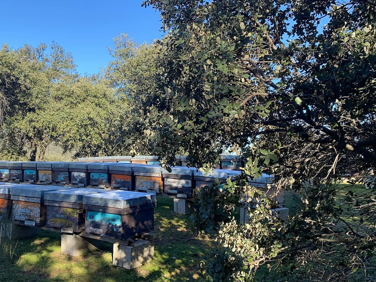 T5 | E23 La opacidad de las 'revolving', ayuda para vaciar el armario y una miel de etiqueta