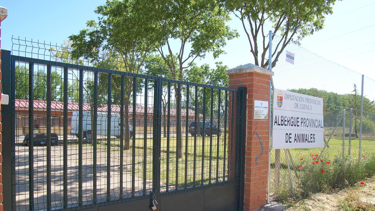 El albergue de animales de la Diputación de Cuenca, un servicio para los ayuntamientos de toda la provincia