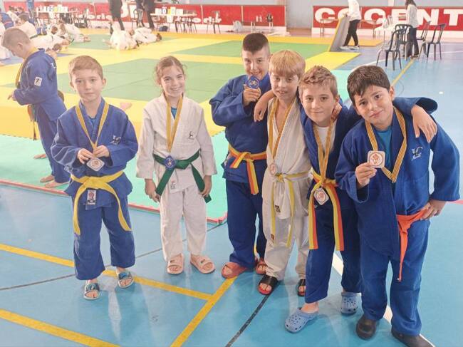 JudoCAMV