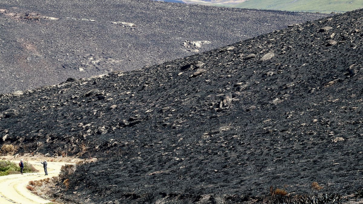 Entrevista a los alcaldes de Vilardevós, A Rúa, Larouco y Xinzo por los incendios