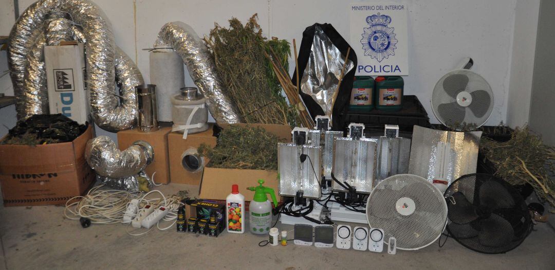 Incautadas hasta 40 plantas de marihuana en un chalet alquilado de Valdepeñas (Ciudad Real) 