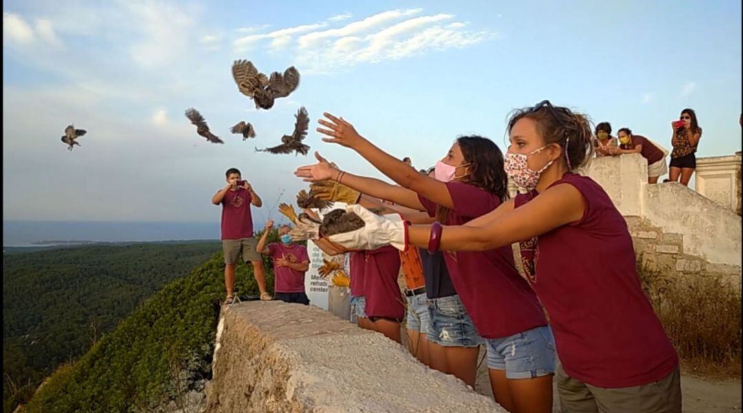 Es van alliberar vuit polls que es van criar al Centre de Recuperació de la Fauna Silvestre.