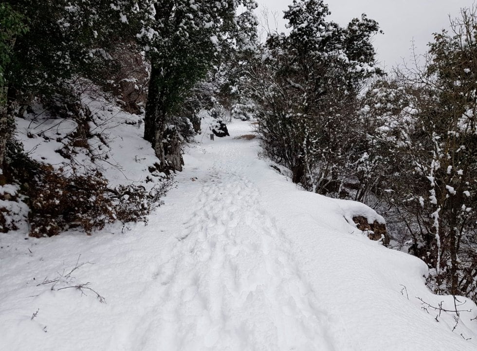Nevada en la Font Roja en 2022
