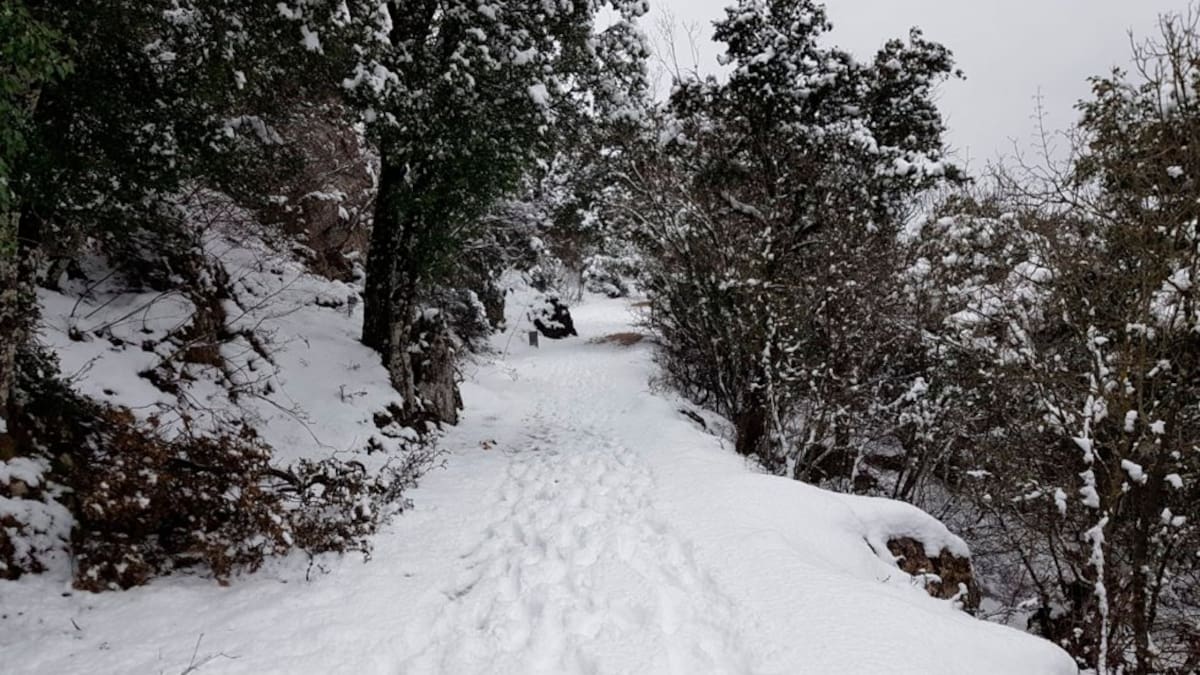 Activado el plan de emergencias por nieve en el interior de Alicante entre el 4 y el 6 de enero