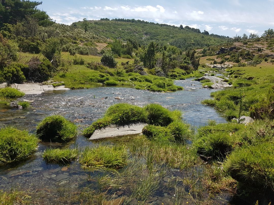 Rio Lillas en Cantalojas (Guadalajara)