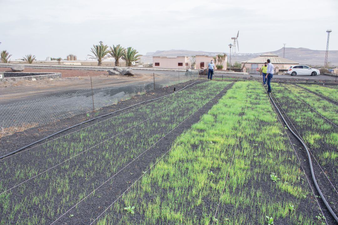 Las obras consistirán en impulsar el agua potable a la zona Norte de la Isla.