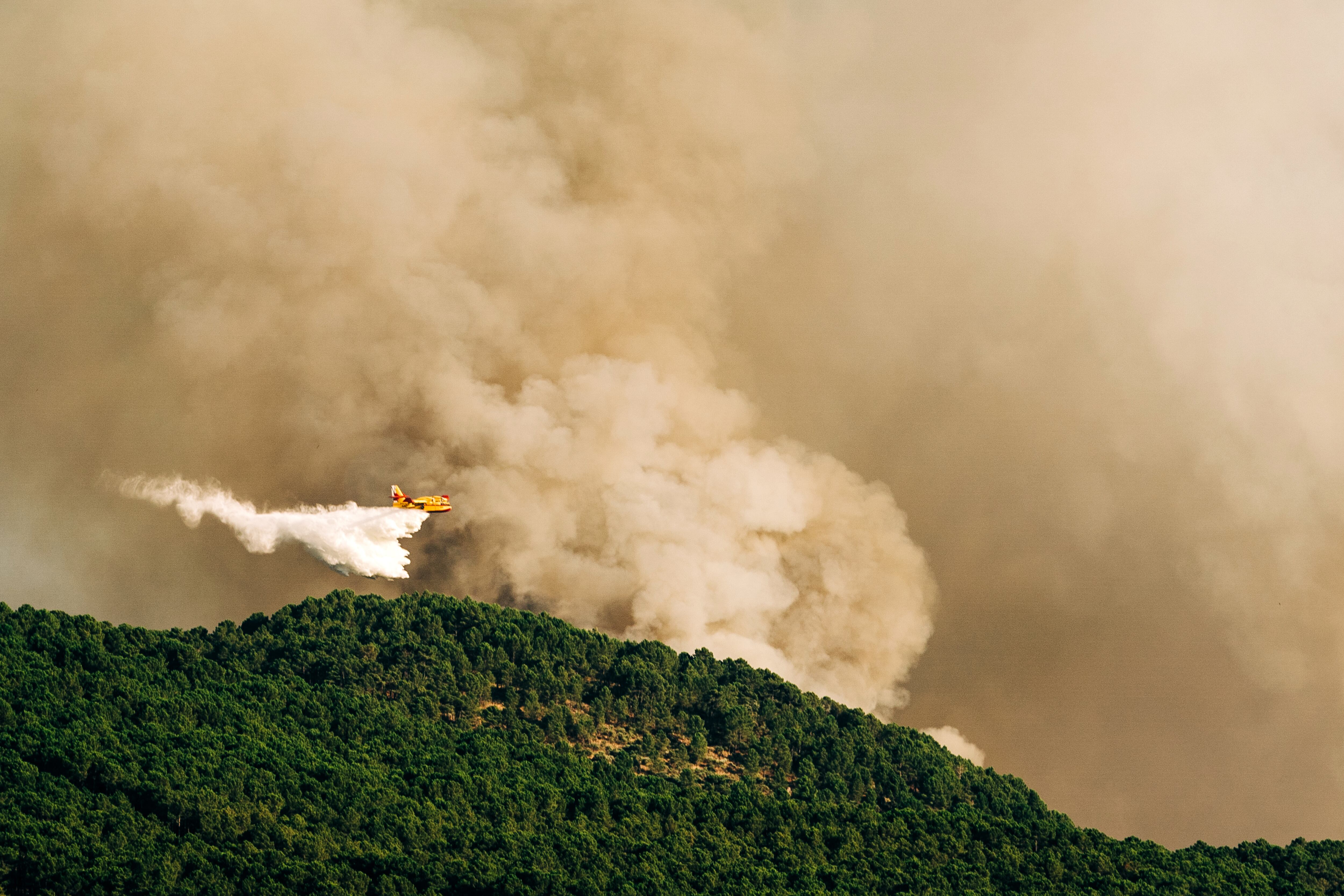 El intenso humo hace imposible que los medios aéreos ataquen la cabeza del incendio. Se trabaja en estabilizar los flancos